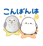 ずっと使える！シマエナガ❤️夏の日常（個別スタンプ：4）