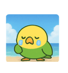 海のインコ@SFW（個別スタンプ：3）