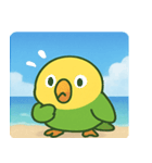 海のインコ@SFW（個別スタンプ：4）