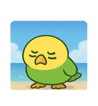 海のインコ@SFW（個別スタンプ：18）
