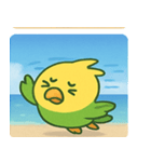 海のインコ@SFW（個別スタンプ：28）