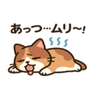 夏ゆる動物ずかん（個別スタンプ：5）