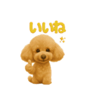 いろんなワンちゃん3Dスタンプ！日常編⑤（個別スタンプ：9）