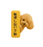 いろんなワンちゃん3Dスタンプ！日常編⑤（個別スタンプ：10）