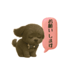 いろんなワンちゃん3Dスタンプ！日常編⑤（個別スタンプ：23）