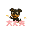いろんなワンちゃん3Dスタンプ！日常編⑤（個別スタンプ：36）