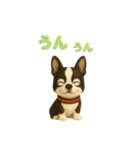 いろんなワンちゃん3Dスタンプ！日常編⑥（個別スタンプ：15）