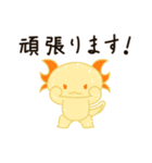 ウーパールーパーV（個別スタンプ：8）
