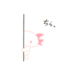 ウーパールーパーV（個別スタンプ：11）