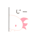 ウーパールーパーV（個別スタンプ：12）