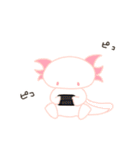 ウーパールーパーV（個別スタンプ：31）