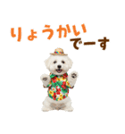 ふわふわビションの真夏日和（個別スタンプ：7）