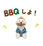 ふわふわビションの真夏日和（個別スタンプ：21）