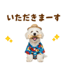 ふわふわビションの真夏日和（個別スタンプ：22）