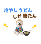 ふわふわビションの真夏日和（個別スタンプ：23）