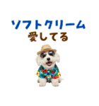 ふわふわビションの真夏日和（個別スタンプ：24）