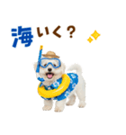 ふわふわビションの真夏日和（個別スタンプ：26）