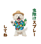 ふわふわビションの真夏日和（個別スタンプ：32）