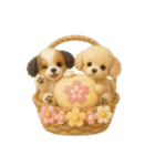 ふわふわトイプードルの花かごスタンプ♪40（個別スタンプ：4）