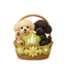 ふわふわトイプードルの花かごスタンプ♪40（個別スタンプ：6）