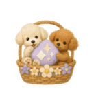 ふわふわトイプードルの花かごスタンプ♪40（個別スタンプ：12）