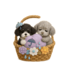 ふわふわトイプードルの花かごスタンプ♪40（個別スタンプ：29）
