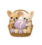 ふわふわチワワの花かごスタンプ♪40（個別スタンプ：1）