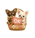 ふわふわチワワの花かごスタンプ♪40（個別スタンプ：3）