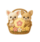 ふわふわチワワの花かごスタンプ♪40（個別スタンプ：4）