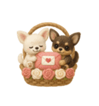ふわふわチワワの花かごスタンプ♪40（個別スタンプ：8）