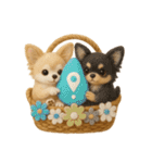 ふわふわチワワの花かごスタンプ♪40（個別スタンプ：9）