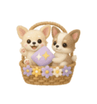 ふわふわチワワの花かごスタンプ♪40（個別スタンプ：12）