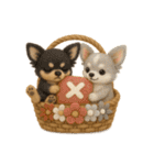 ふわふわチワワの花かごスタンプ♪40（個別スタンプ：13）