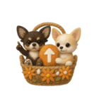 ふわふわチワワの花かごスタンプ♪40（個別スタンプ：16）