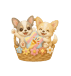 ふわふわチワワの花かごスタンプ♪40（個別スタンプ：18）
