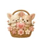 ふわふわチワワの花かごスタンプ♪40（個別スタンプ：19）
