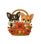 ふわふわチワワの花かごスタンプ♪40（個別スタンプ：21）