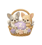 ふわふわチワワの花かごスタンプ♪40（個別スタンプ：22）