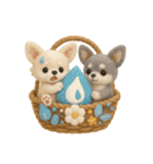 ふわふわチワワの花かごスタンプ♪40（個別スタンプ：24）