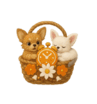 ふわふわチワワの花かごスタンプ♪40（個別スタンプ：27）