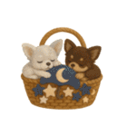 ふわふわチワワの花かごスタンプ♪40（個別スタンプ：30）