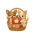 ふわふわチワワの花かごスタンプ♪40（個別スタンプ：33）