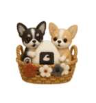 ふわふわチワワの花かごスタンプ♪40（個別スタンプ：35）