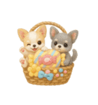 ふわふわチワワの花かごスタンプ♪40（個別スタンプ：37）
