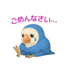コザクラインコ♡癒し可愛いスタンプ Vol.1（個別スタンプ：10）