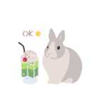 うさぎ 夏（個別スタンプ：6）