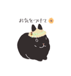 うさぎ 夏（個別スタンプ：26）
