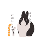 うさぎ 夏（個別スタンプ：33）