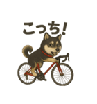 自転車ノリノリ黒柴のココちゃん（個別スタンプ：3）