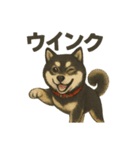 自転車ノリノリ黒柴のココちゃん（個別スタンプ：5）